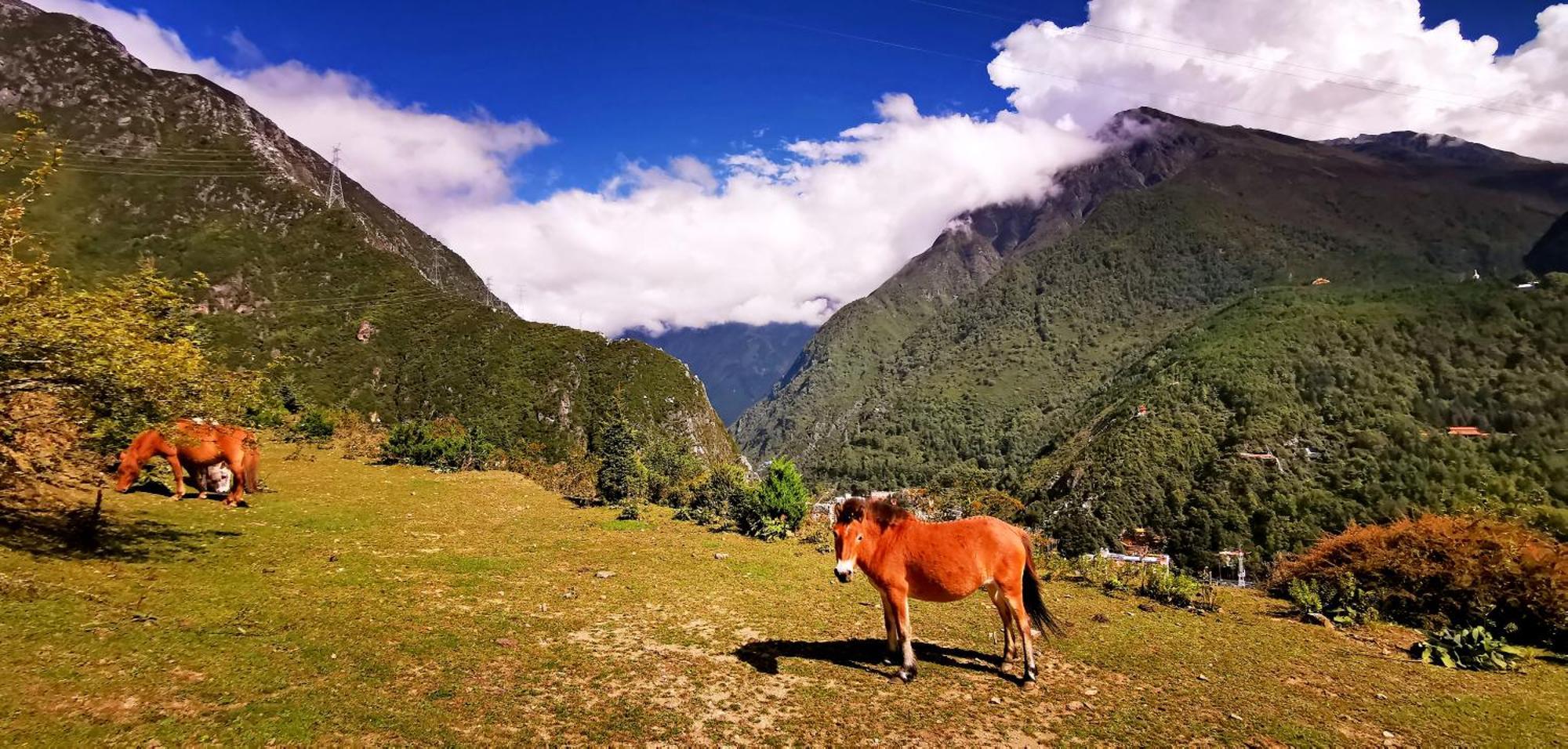 Kangding Guozhuang Nan Wu Hao Boutique Inn Eksteriør bilde